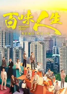 雾港 热播剧集在线观看